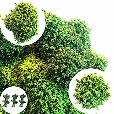 Lush Moss Set: 3D Max & FBX 3D model image 1 