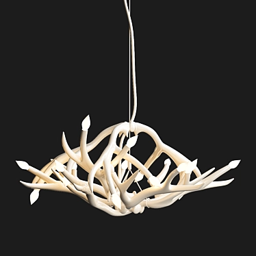 Superordinate Antlers chandelier 12 antlers white von Roll & Hill