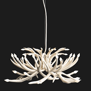 Superordinate Antlers chandelier 24 antlers white von Roll & Hill