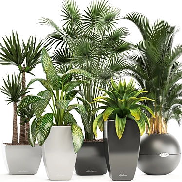 Gorgeous Indoor Plant Collection 3D model image 1 