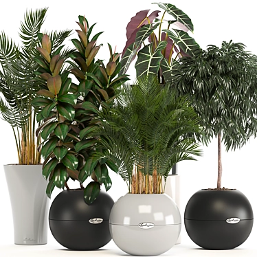 Indoor Collection of Plant Varieties 3D model image 1 