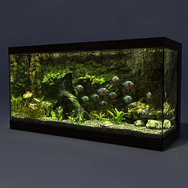 Aquarium