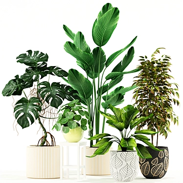 Greenery Galore: 117 Delightful Plant Varieties 3D model image 1 