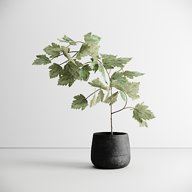 Scandinavian Greenery: Nordic-Style Plant 3D model image 1 