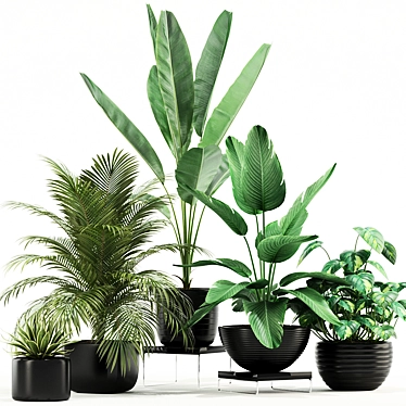 Unique Plant Collection 119 3D model image 1 