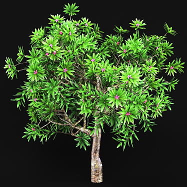 Greenery 3D - 25 Varieties 3D model image 1 