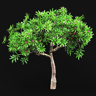 25-K2 Plant: High-Quality Polys & Verts 3D model image 1 