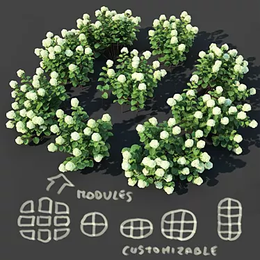 Versatile Hydrangea Arborescens: Customizable Floral Bush 3D model image 1 