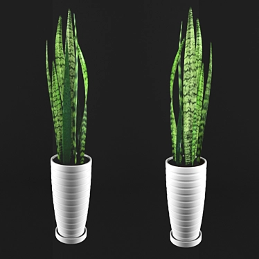 Lush Sansevieria Plant: FBX & OBJ Files 3D model image 1 