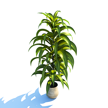 Evergreen Plant: 3Dmax & Vray 3D model image 1 