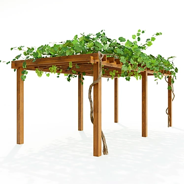 Grapevine Pergola: Elegant Outdoor Retreat 3D model image 1 