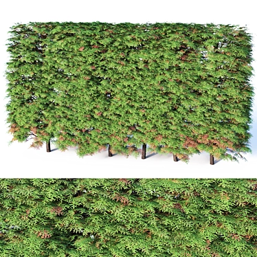 Seamless Thuya Hedge, H120cm 3D model image 1 