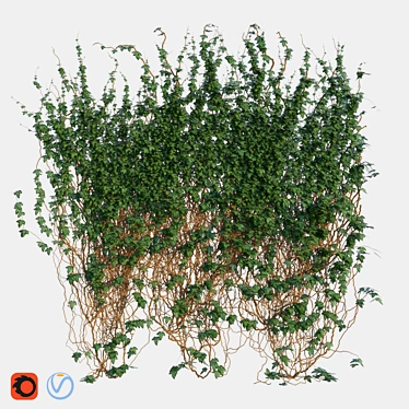 Evergreen Ivy Wall Covering - 3x3m 3D model image 1 