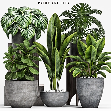 Houseplant Dark Green