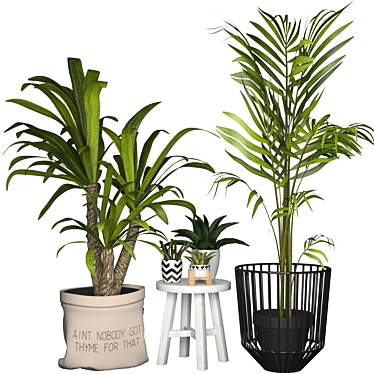 Elegant Collection of Indoor Plants 3D model image 1 