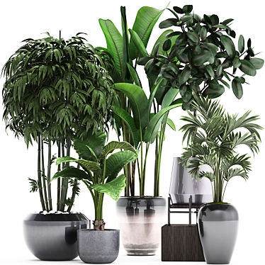 Exotic Plant Collection 3D model image 1 