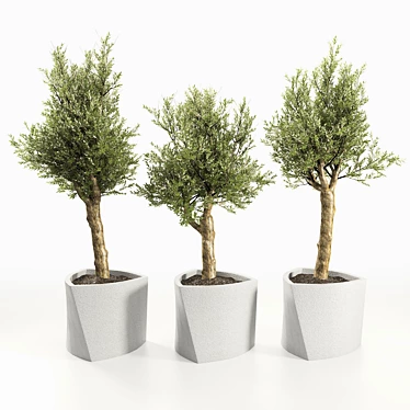 Muxart Bilbao: Contemporary Stone Planter 3D model image 1 