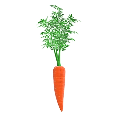 Sleek Carrot 02: Geometric Design with PBR Textures 3D model image 1 