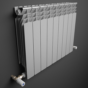 Wall-mounted Radiator with Temperature Regulator - 9 Sections 3D model image 1 