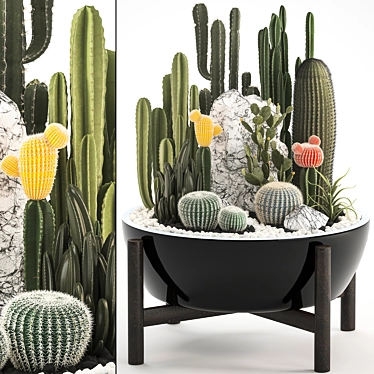 Title: Exotic Plant Collection: Cactus Set 3D model image 1 