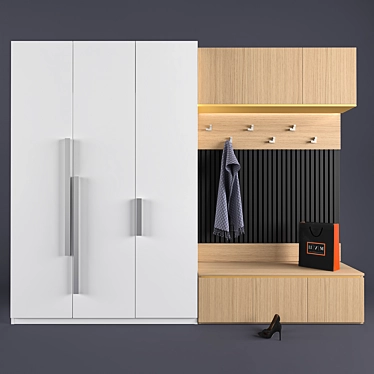 Customizable Hall Storage Unit by MR.Doors 3D model image 1 