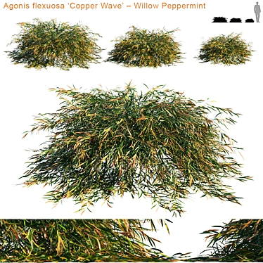 Vibrant Copper Wave Willow Peppermint | Stunning 3D Model 3D model image 1 