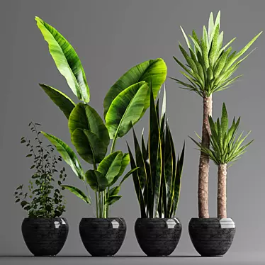 Green Oasis: Complete Plant Set 3D model image 1 
