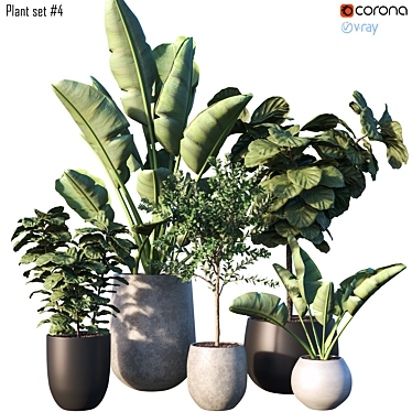  Lush Greenery Plant Set 3D model image 1 