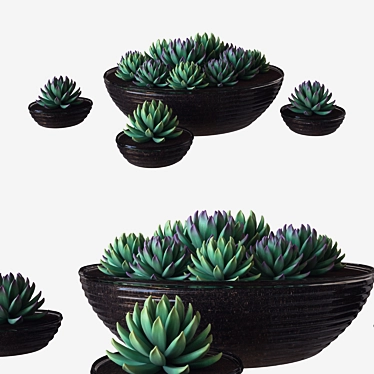 Succulent Glass Pot: 3D Render 3D model image 1 