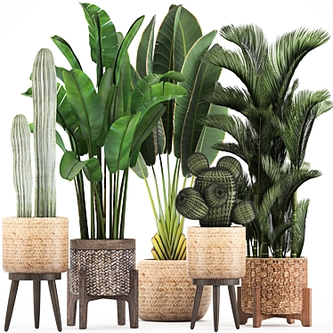 Exotic Plant Collection: Cacti, Palm & Grass 3D model image 1 