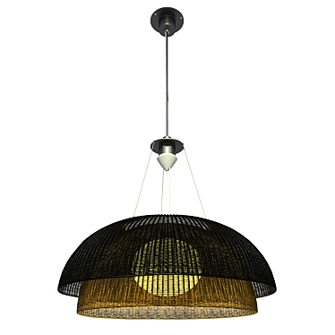 Wildginger ceiling lamp