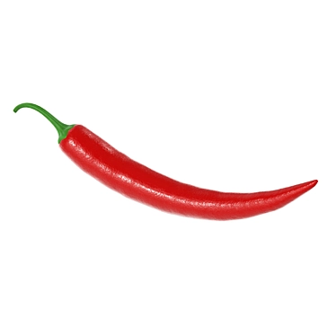 Spicy 4k PBR Chili Pepper 3D model image 1 