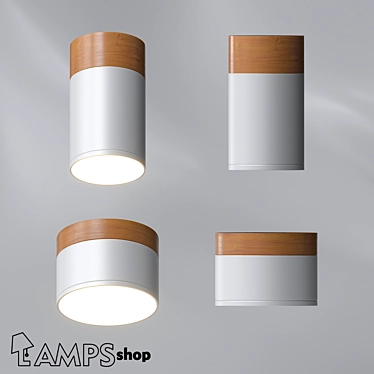 Rustic Wood Spot Lamp 3D model image 1 