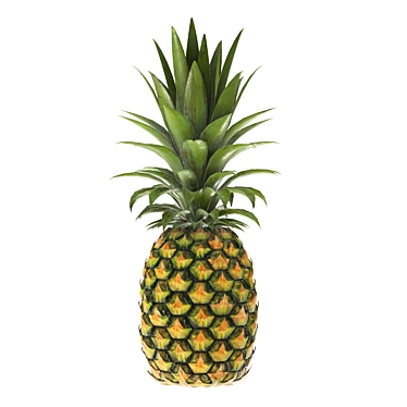 Tropical Pineapple 4k PBR 3D model image 1 