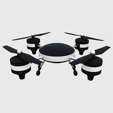 Selfie drone HJ Toys Lily Drone