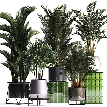 Exotic Palm Collection: Beautiful Houseplants for Interior Decoration 3D model image 1 