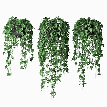 Versatile Ivy Trio in Pot 3D model image 1 