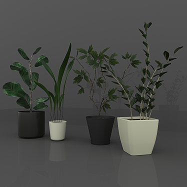 Sina Model: Elegant Indoor Plant 3D model image 1 