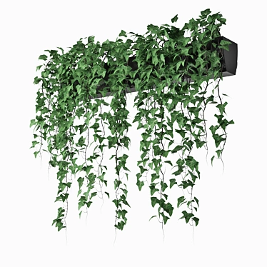 Lush Ivy in Pot 3D model image 1 