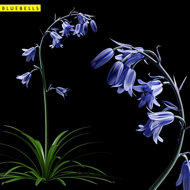 Blooming Beauty: Bluebell Garden Delight 3D model image 1 