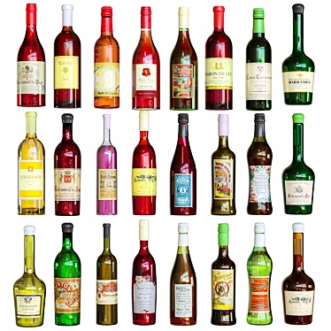 Premium Wine Bottle Set: 24 Unique Designs 3D model image 1 