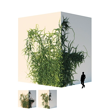 Evergreen Ivy Wall 3D model image 1 