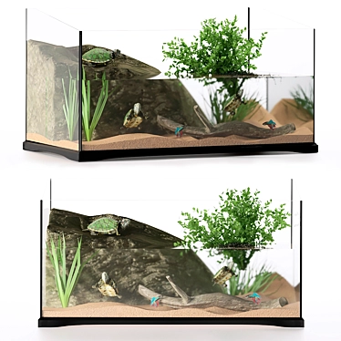 Terrarium for turtles