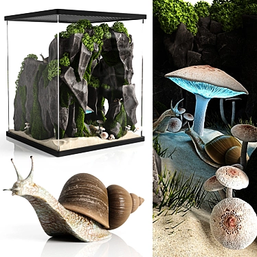 Giant African Snail Terrarium 3D model image 1 