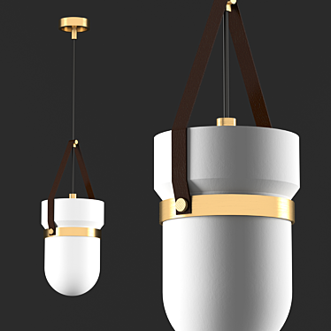 Elegant Almonds Pendant Lamp 3D model image 1 