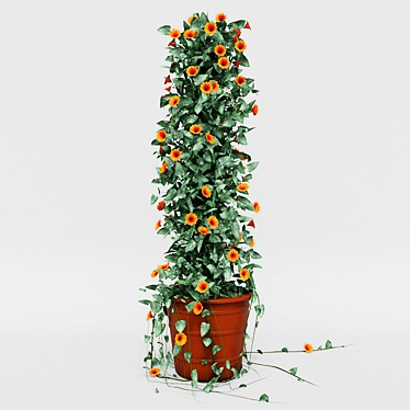 Tall and Colorful Thunbergia Ivy in Pot 3D model image 1 