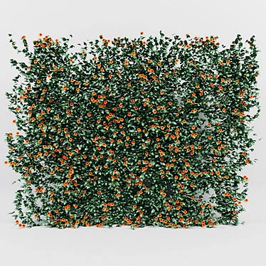 Lush Thunbergia Alata Ivy: Detailed, Colorful 3D Model 3D model image 1 