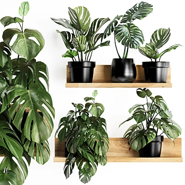 Exotic Monstera: Vertical Garden Collection 3D model image 1 