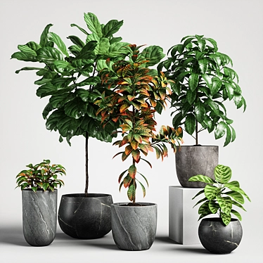 Versatile Plants Set 11 3D model image 1 