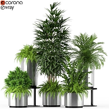 Botanical Oasis: Plants Collection 206 3D model image 1 